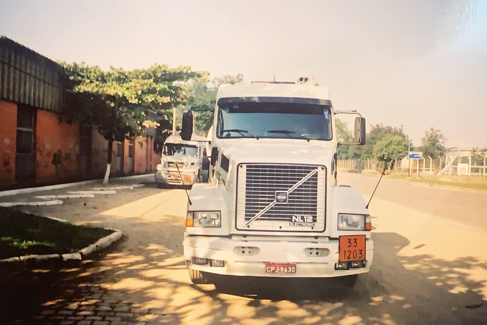 História da Transdelfina